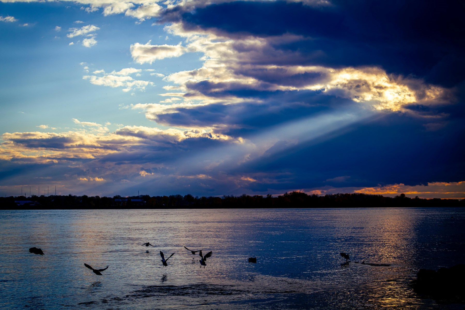 Obituary of Sally Ann Hernandez