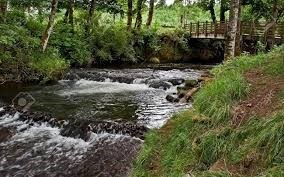 Avis de décès de Marianne Jacqueline Whitney