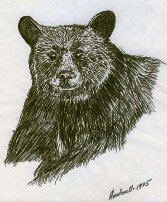 Obituary of Harry Bud Deane Hartwell