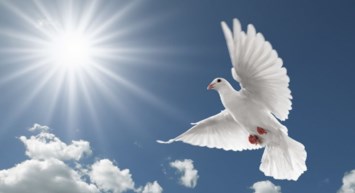 Obituary of Julianne Dorsey Krause