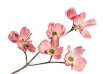 Obituary of Edith Kimmel