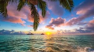 Obituary of Rose Jean Powell