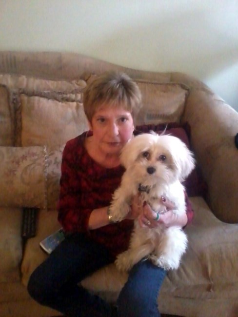 Obituary of Kathy Williams Cardone