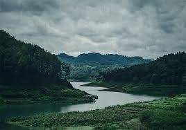 Obituary of Sheldon Galowich