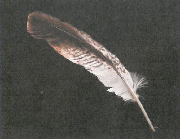 Obituary of David John Charles Ward