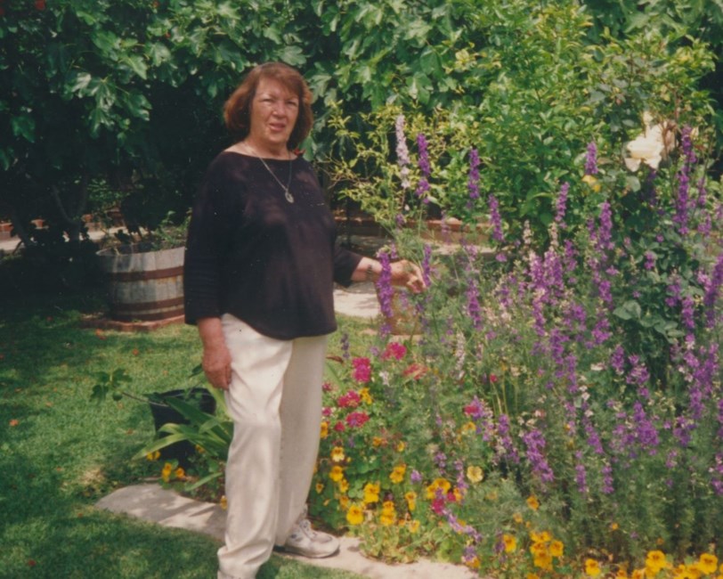 Obituary of Amelia Fernandez