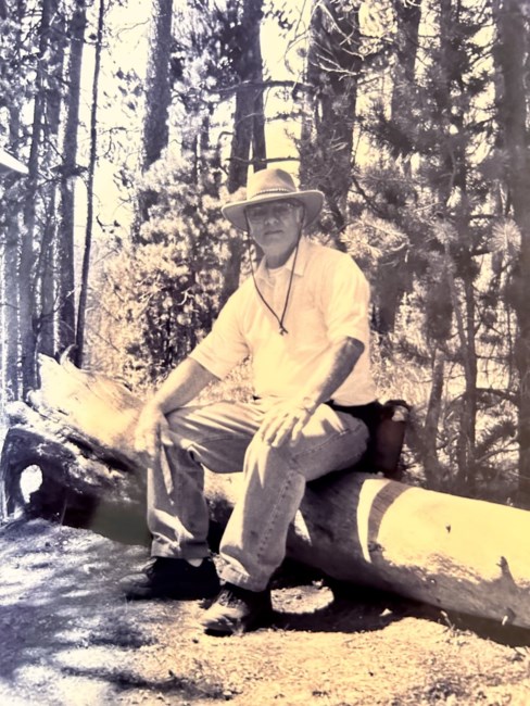 Obituary of Louis Trad Jr.