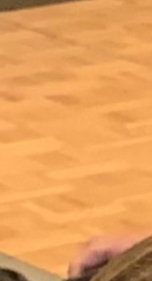 David Gritter Obituary - Grand Rapids, MI