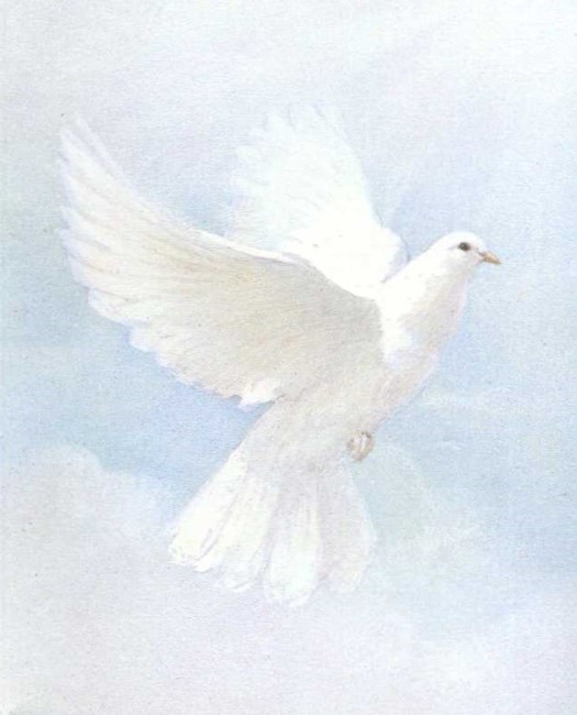 Obituary of Joseph Spano