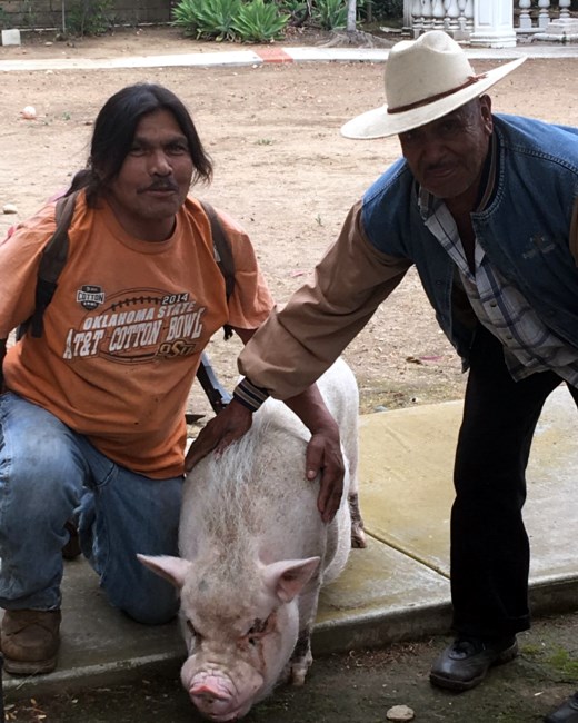 Obituary of Felipe Bermudez