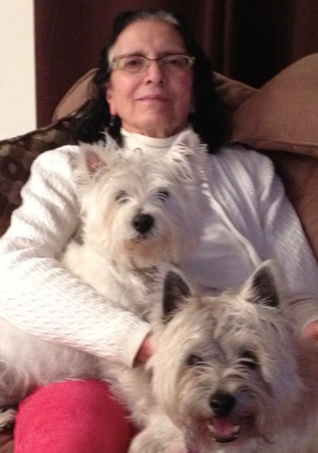 Obituary of Gwynne Louise Price