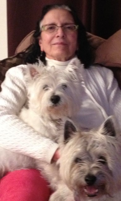 Obituary of Gwynne Louise Price