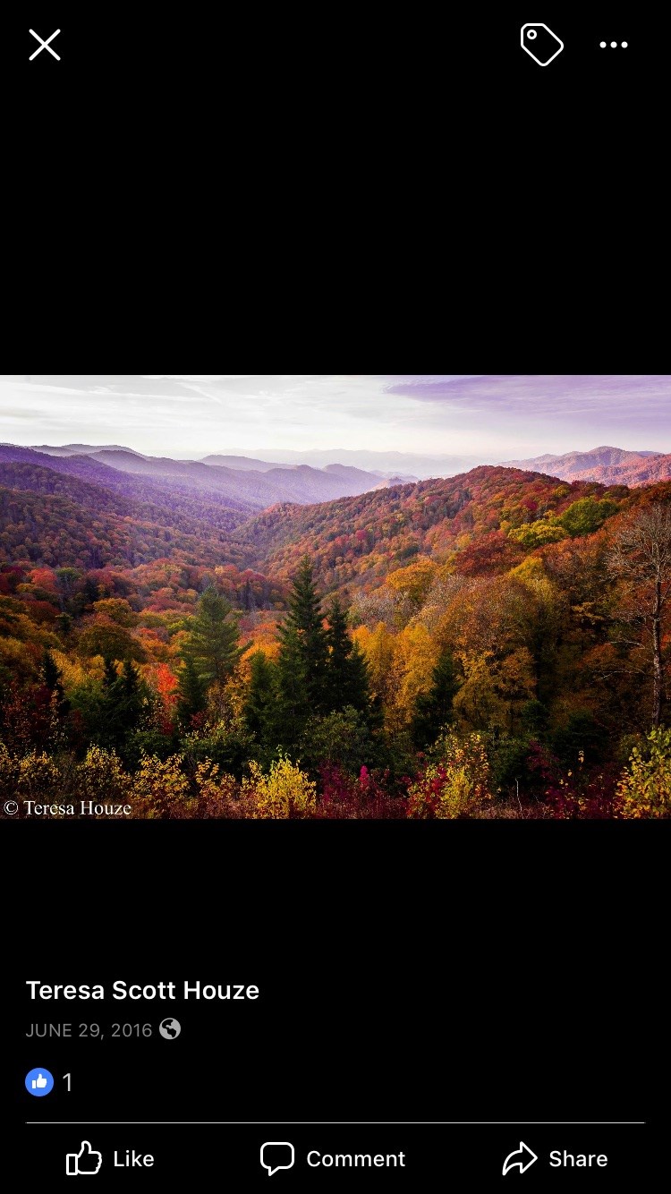 Obituario de Margie Moon