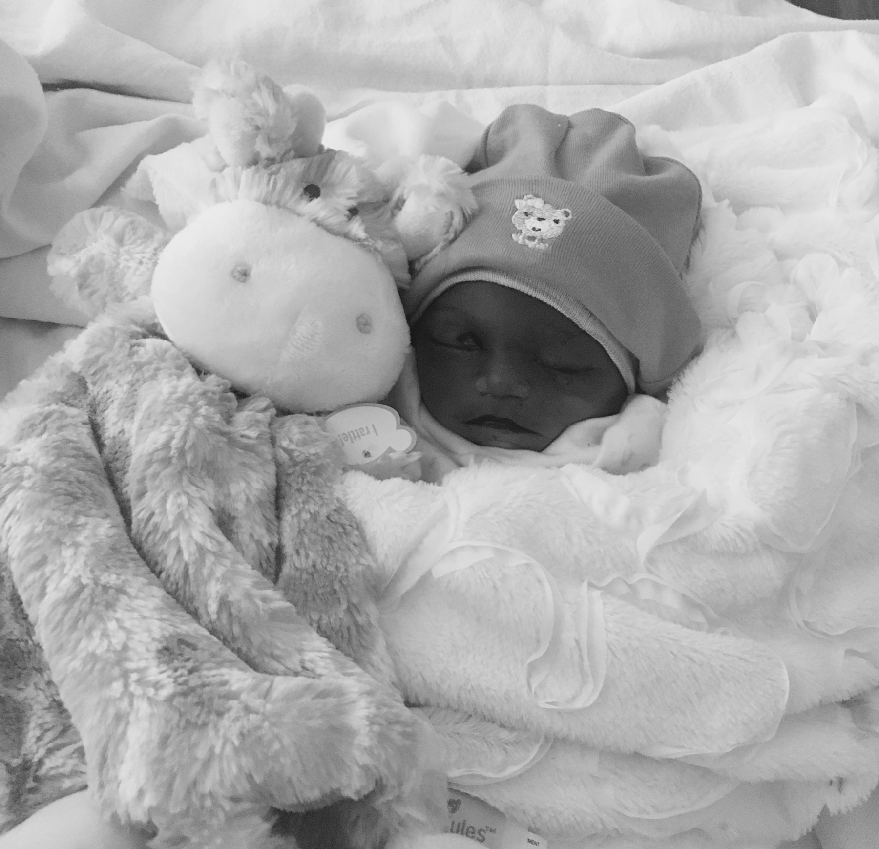 Obituary of Ava Jaylene Gomez