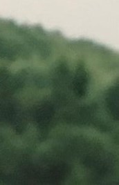 Swingers in port dickinson ny Lycoming County Obituaries, Lycoming County, Pennsylvania