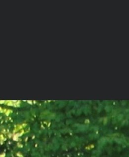 Michelle Pilon Obituary - Hamilton, ON