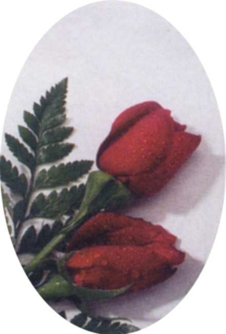 Obituary of E. Maurine Weatherly