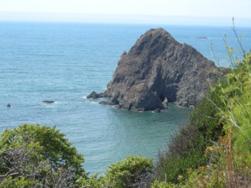 Obituary of Paul C. Paterson