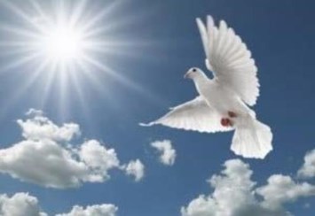 Obituary of Jose A Lopez