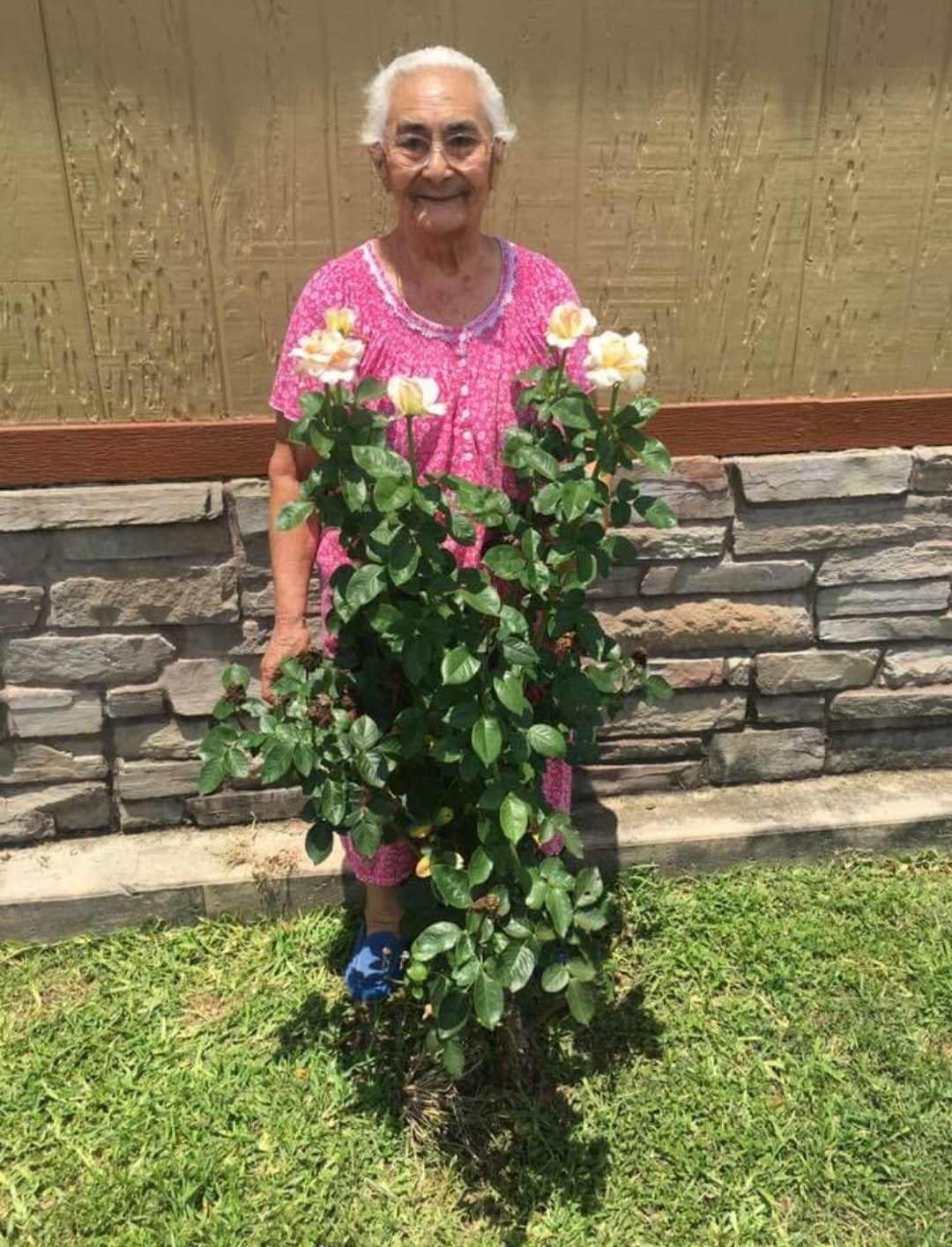 Obituary of Estefana Saenz Salazar