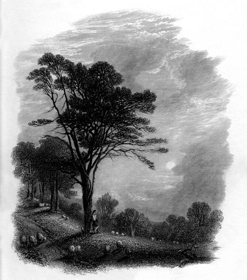 Avis de décès de Raymond Louzoun