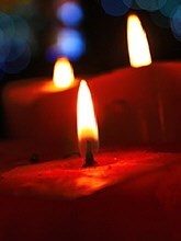 Obituary of Willis J. Connor, Jr.