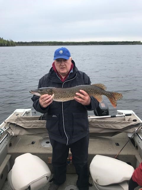 Obituary of David John Sextro