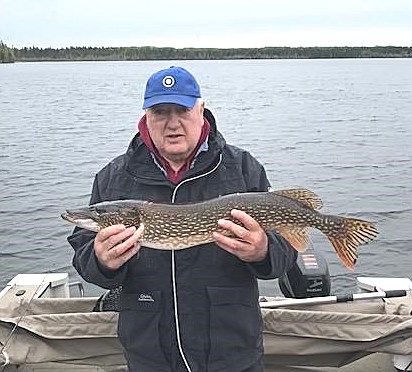 Obituary of David John Sextro