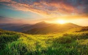 Obituary of Sophia Elaina Andrade