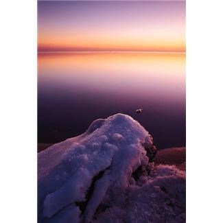 Obituary of Theresa Esposito