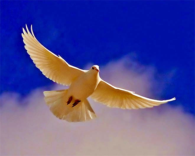 Obituary of Avadell Cooksey