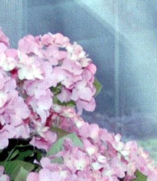 Marie Shell Obituary - Jacksonville, FL