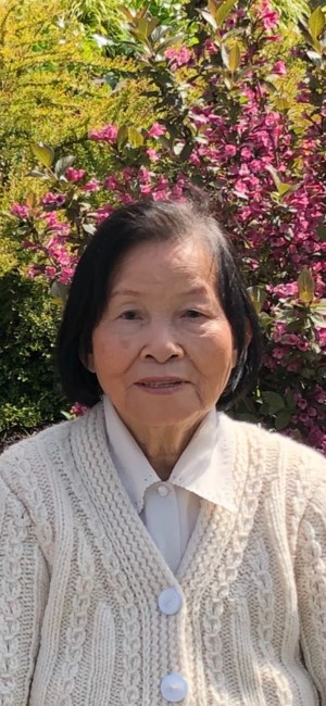 Obituary of Theo Tran Ho