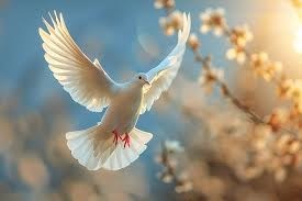 Obituary of Sharon Beth Wilkins