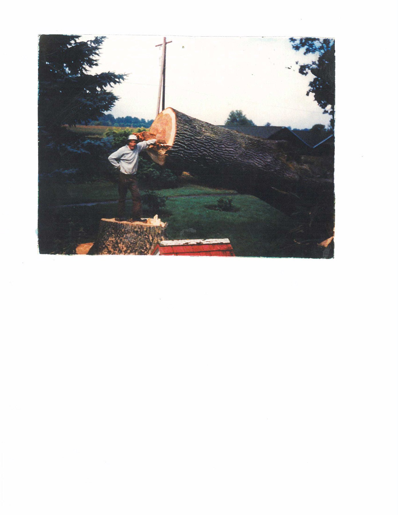 Obituary of Clarence Franklin Ellis