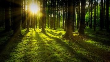 Obituary of Jayson Wood