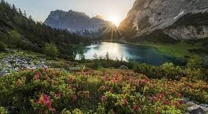 Obituary of Richard Sayres Walton