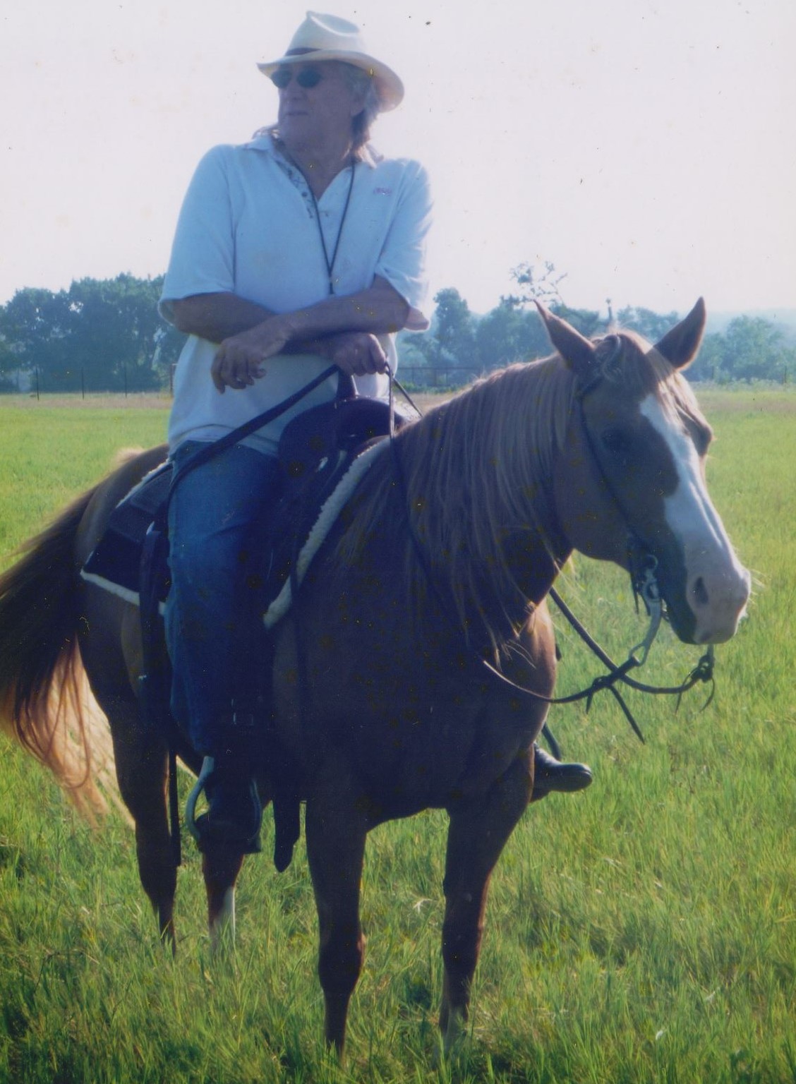 Obituary of Drago Daic