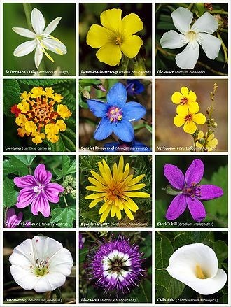 Obituary of Robert "Bob" G. Covel Jr.