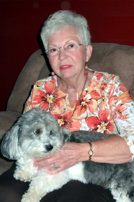 Obituary of Gail Diane D'Amato