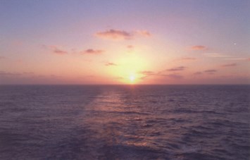 Obituary of Carole A. Dorsey