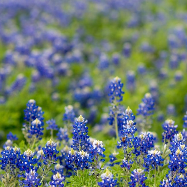 Obituary of Juan Ramon Huante Castro