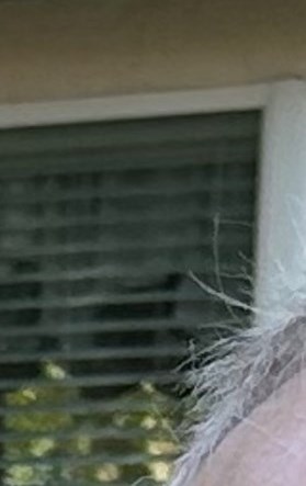 Doug Reed Obituary - Apopka, FL