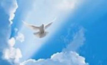 Obituary of Tommie Jean Willis