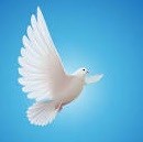 Obituary of John C Evans