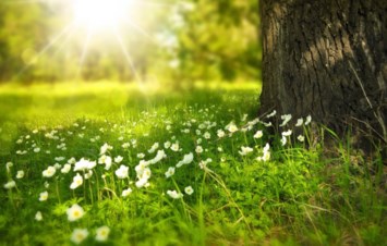Obituary of Bonnie Quon-Chin Feng
