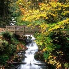 Obituary of Herman R. Hanlin