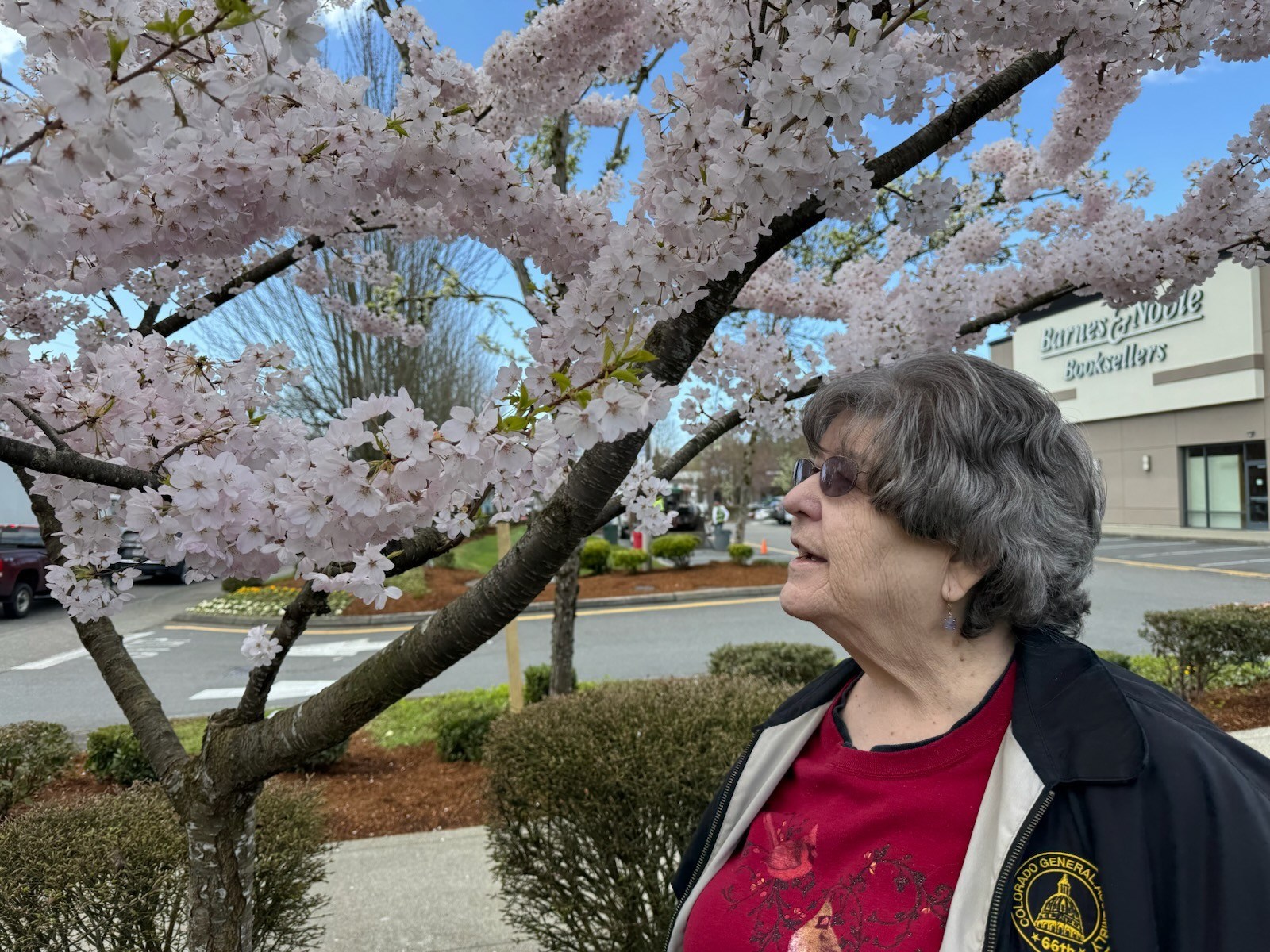 Obituary of Donna Fay Rose