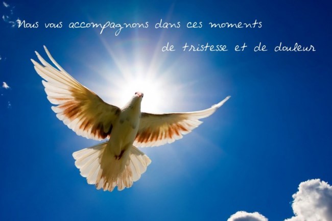 Marc Berube Obituary Ottawa On