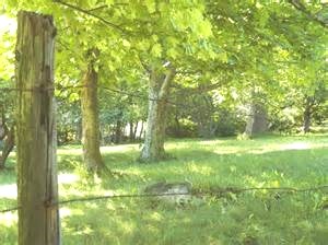 Obituary of Troy Michael McClain